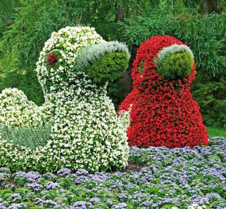 Blumentiere auf der Insel Mainau © alinamd - Fotolia.com