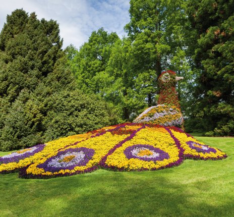 Insel Mainau - Blumentier © oscity-fotolia.com